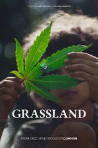 Grassland Online En Netflix