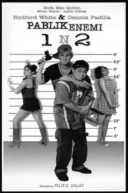 Pablik Enemi 1 n 2: Aksidental Heroes Online En Netflix