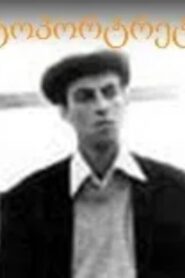 ავტოპორტრეტი Online En Netflix