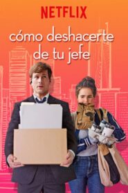 Set It Up: El plan imperfecto Online En Netflix