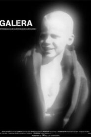 Galera Online En Netflix