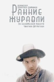 Ранние журавли Online En Netflix