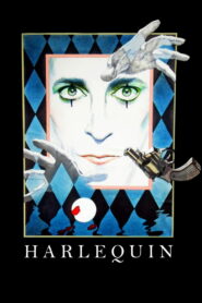 Harlequin Online En Netflix