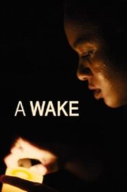 A Wake Online En Netflix
