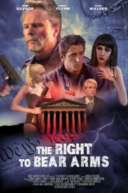 The Right to Bear Arms Online En Netflix