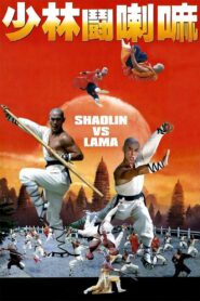 少林鬥喇嘛 Online En Netflix