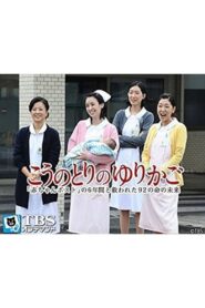 こうのとりのゆりかご〜「赤ちゃんポスト」の6年間と救われた92の命の未来〜 Online En Netflix
