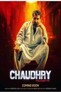 Chaudhry Online En Netflix
