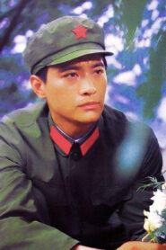 高山下的花环 1983 En Netflix