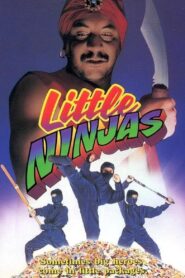 Little Ninjas Online En Netflix