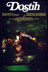 Dostih Online En Netflix