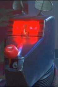 The Sarah Jane Adventures: From Raxacoricofallapatorius with Love Online En Netflix