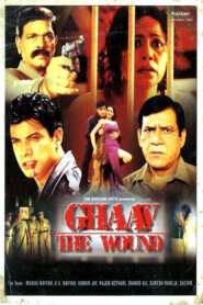Ghaav Online En Netflix