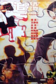 絕命追殺 Online En Netflix