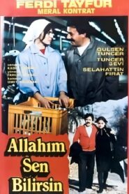 Allahım Sen Bilirsin Online En Netflix