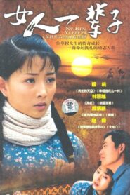 A good woman 2007 En Netflix