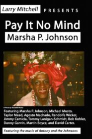 Pay It No Mind: Marsha P. Johnson Online En Netflix