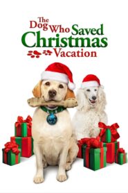The Dog Who Saved Christmas Vacation Online En Netflix