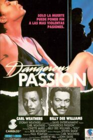 Dangerous Passion Online En Netflix