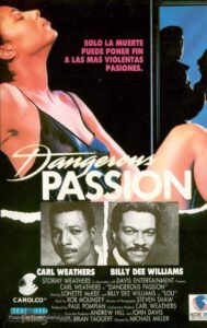 Dangerous Passion Online En Netflix