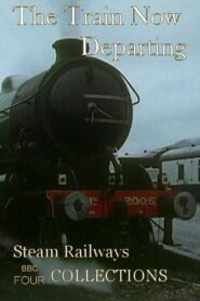 The Train Now Departing 1988 En Netflix