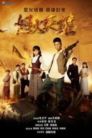 怒火英雄 2016 En Netflix