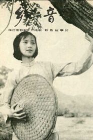 乡音 Online En Netflix