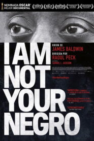 I Am Not Your Negro Online En Netflix