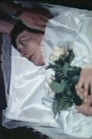 Gestatten, Bestatter Online En Netflix