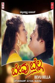ಬೇವು ಬೆಲ್ಲ Online En Netflix