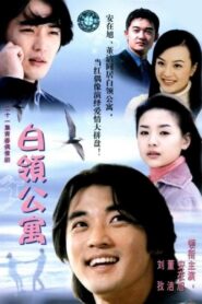 白领公寓 2002 En Netflix