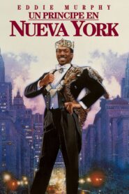 Un Príncipe en Nueva York Online En Netflix