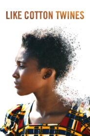 Like Cotton Twines Online En Netflix