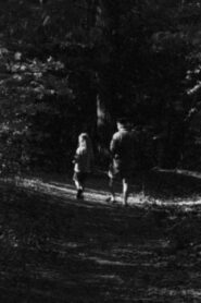 Forest Walk Online En Netflix