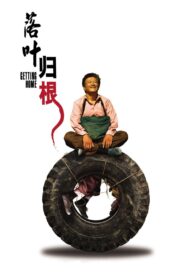 落叶归根 Online En Netflix