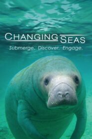 Changing Seas 2009 En Netflix