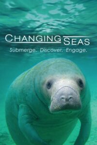 Changing Seas 2009 En Netflix